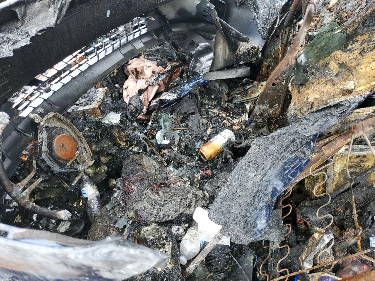 Lot #3287494016 2008 TOYOTA COROLLA MA