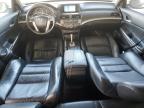 Lot #3301587651 2008 HONDA ACCORD EXL