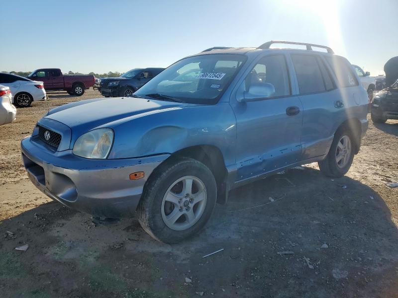 Global Auto Auctions: 2004 HYUNDAI SANTA FE G
