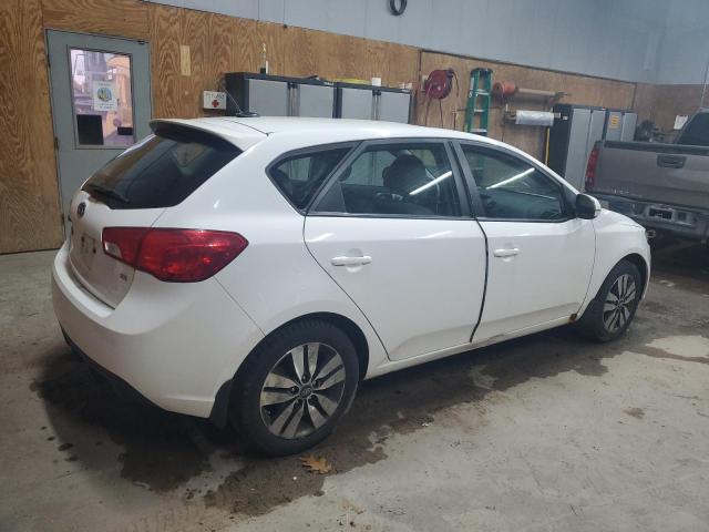 2013 KIA FORTE EX - KNAFU5A23D5656968