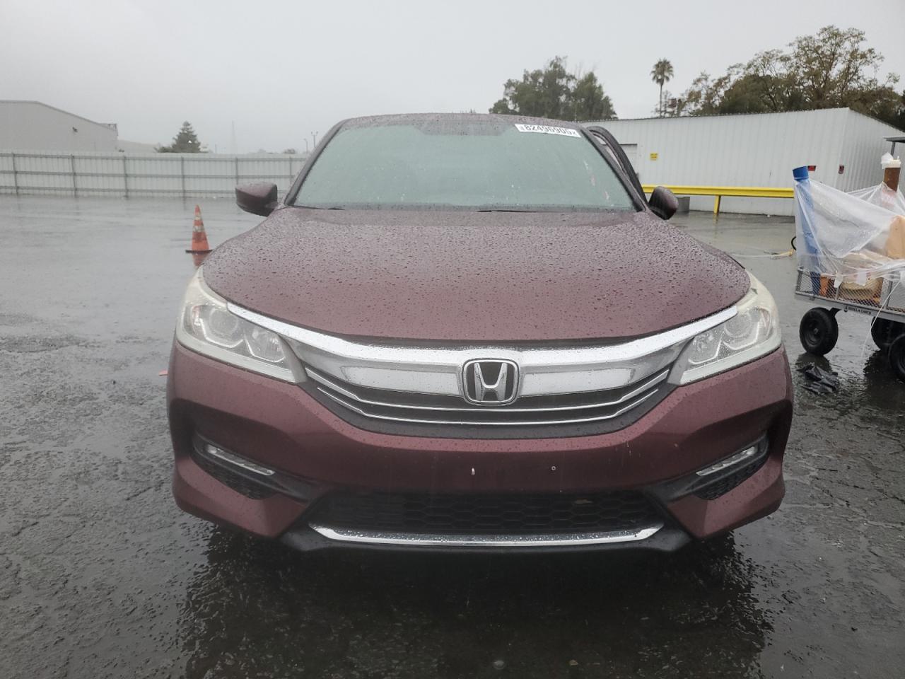 HONDA ACCORD SPORT SPECIAL EDITION