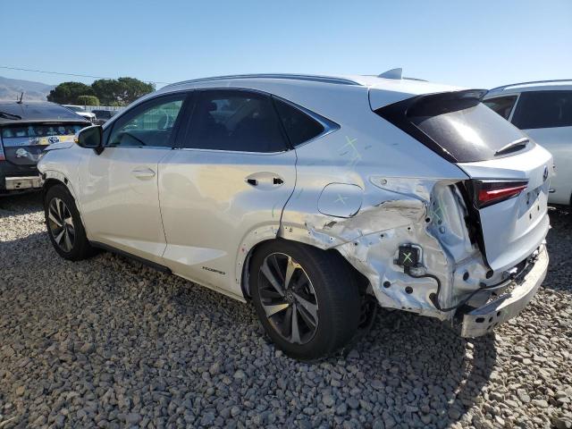 2021 LEXUS NX 300H BA - JTJGJRDZ0M5010994