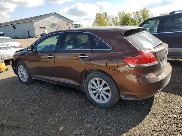 2010 TOYOTA VENZA - 4T3BA3BB8AU018930