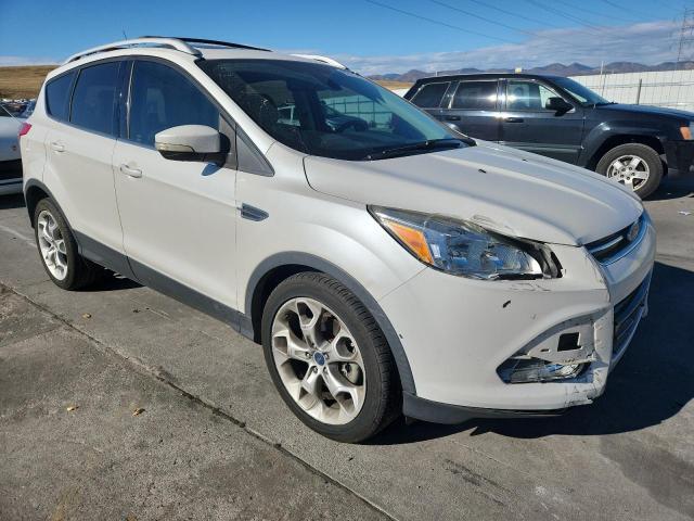 2015 FORD ESCAPE TIT - 1FMCU9J93FUA62928