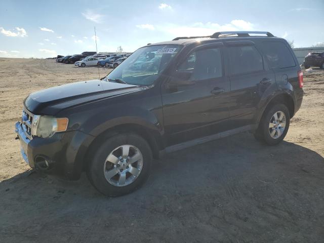 Global Auto Auctions: 2011 FORD ESCAPE LIM