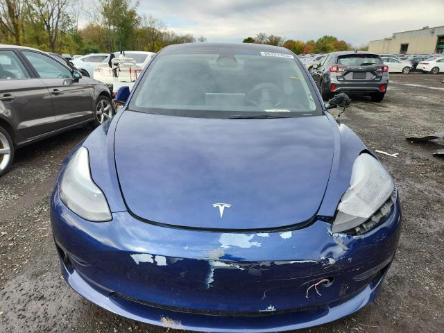 2023 TESLA MODEL 3 #3303723434