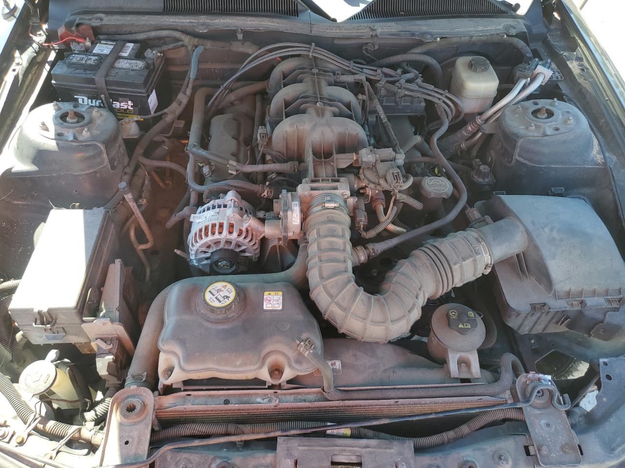 Lot #3291280959 2007 FORD MUSTANG