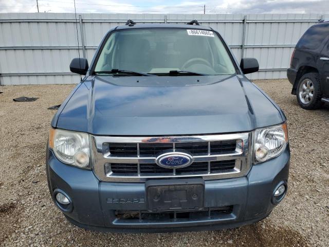 2010 FORD ESCAPE XLT - 1FMCU9DG7AKA79228