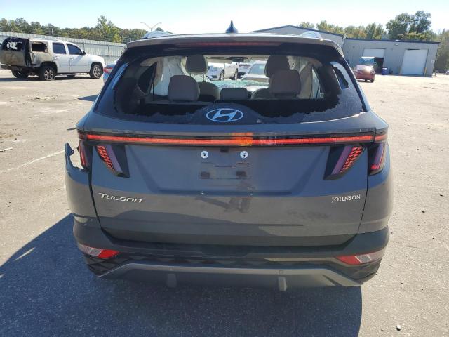 2024 HYUNDAI TUCSON LIM 5NMJE3DE3RH313151