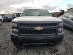 Lot #3303962693 2014 CHEVROLET SILVERADO