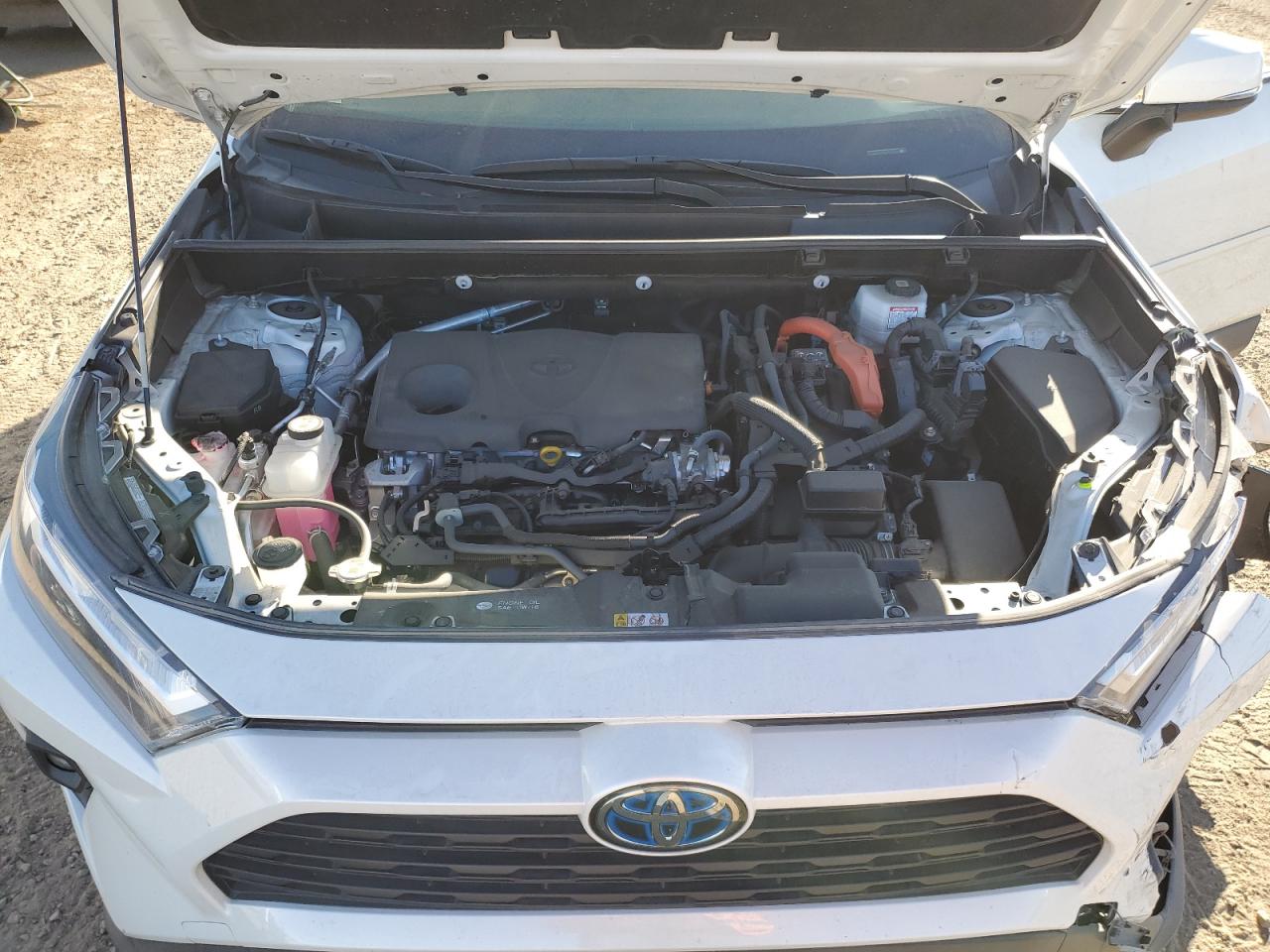 TOYOTA RAV4 XLE PREMIUM