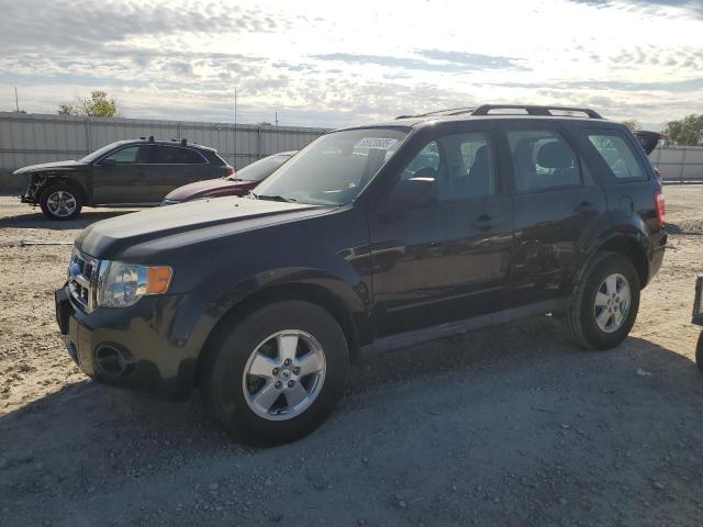 Global Auto Auctions: 2011 FORD ESCAPE XLS