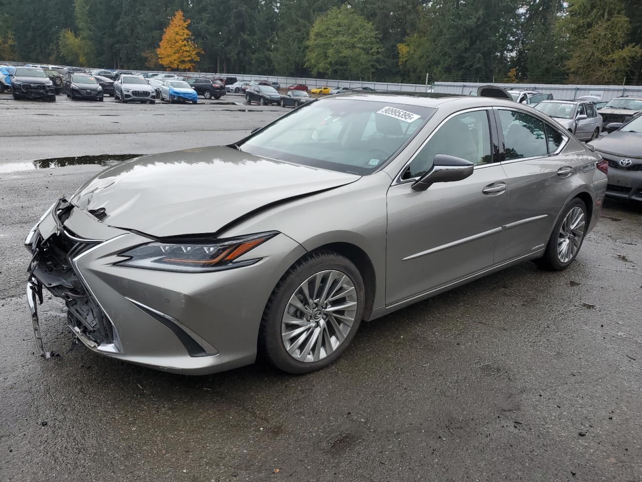 LEXUS ES 300H LUXURY