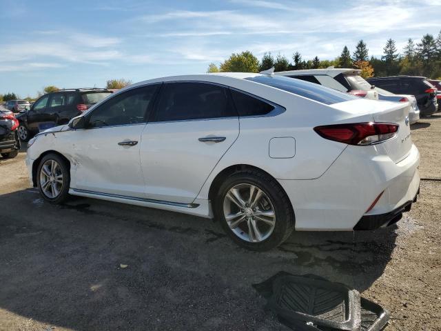 2019 HYUNDAI SONATA LIM 5NPE34AF5KH756341