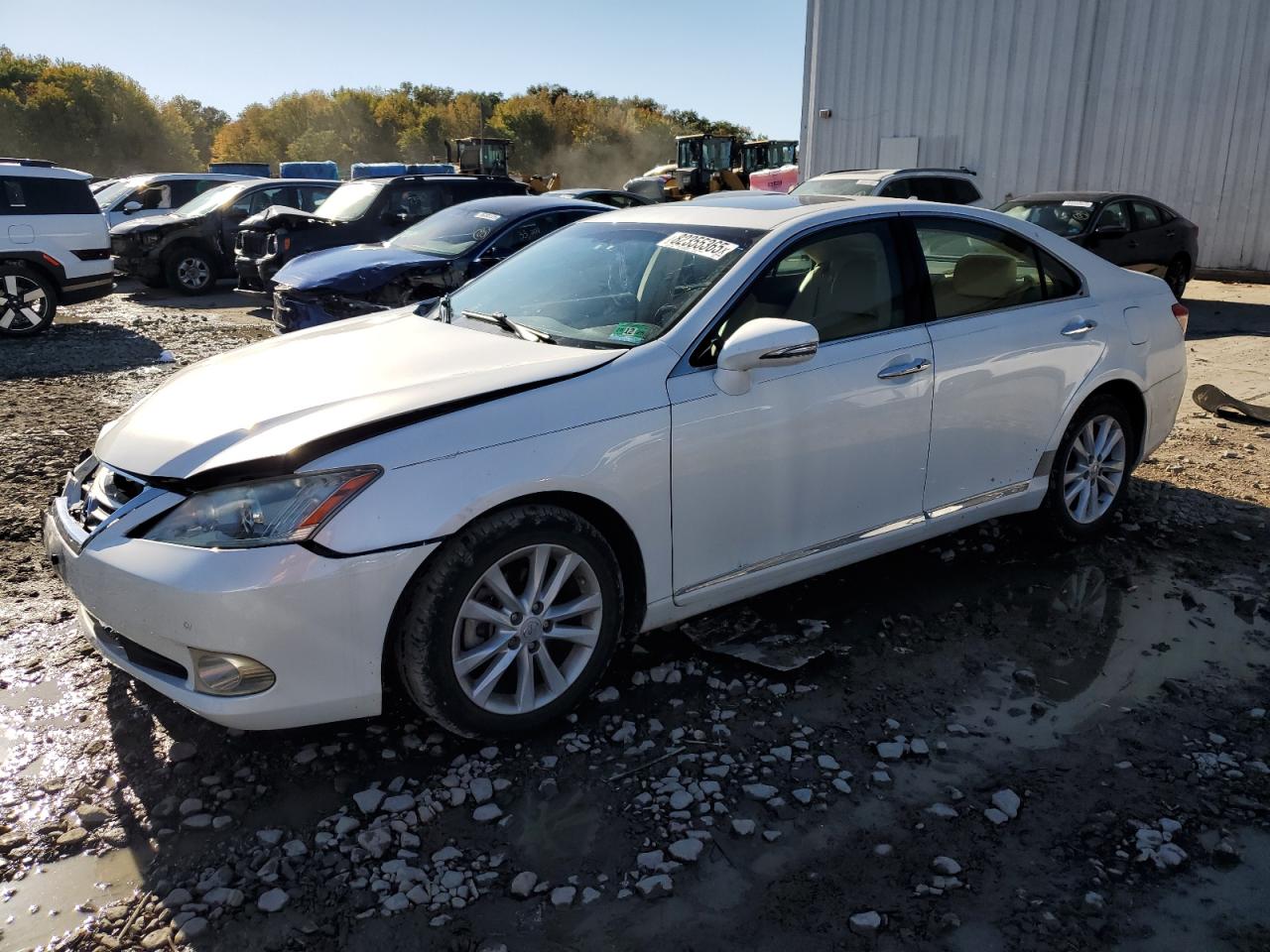 LEXUS ES 350