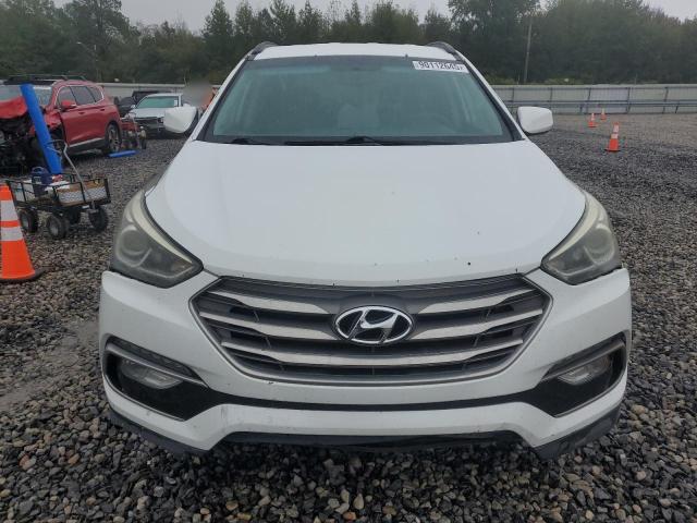 2017 HYUNDAI SANTA FE S - 5NMZU3LBXHH011173