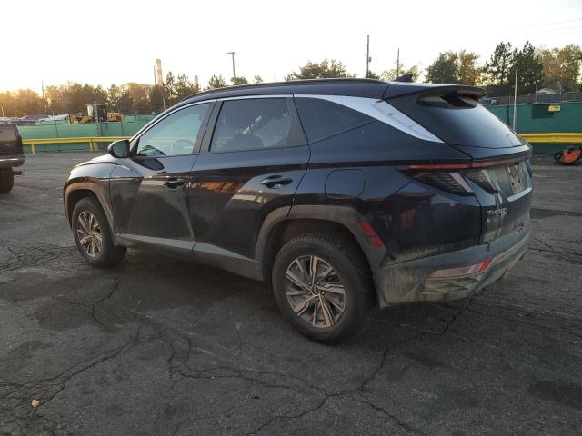 2023 HYUNDAI TUCSON BLU KM8JBCA18PU109425