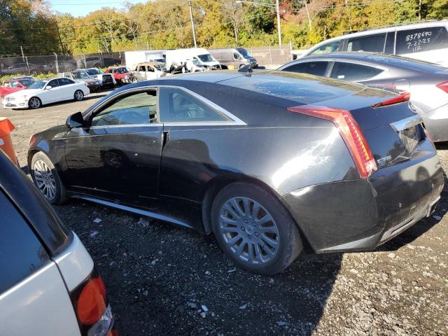 2011 CADILLAC CTS PERFOR - 1G6DK1ED3B0125481