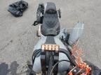 Lot #3303902702 2023 HARLEY-DAVIDSON FXLRST