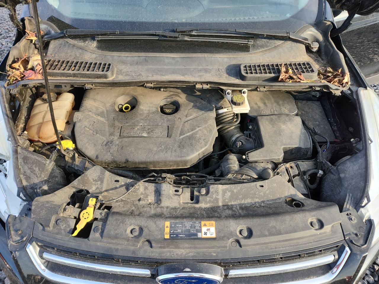 FORD ESCAPE TITANIUM