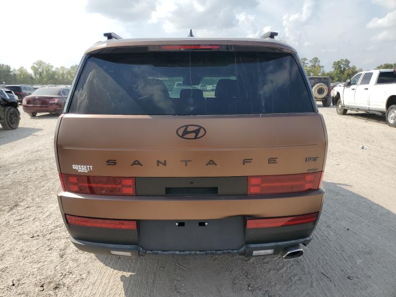 2025 HYUNDAI SANTA FE X - 5NMP3DGL4SH106855