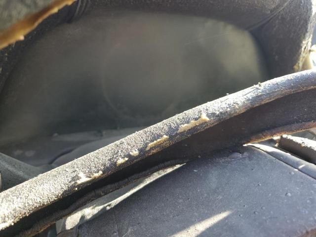 2020 LEXUS ES 350 - 58ADZ1B1XLU063157