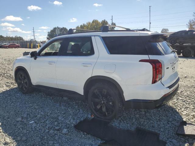 2025 HYUNDAI PALISADE X KM8R3DGE9SU834671