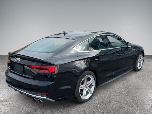 2019 AUDI S5 PREMIUM - WAUB4CF57KA000718