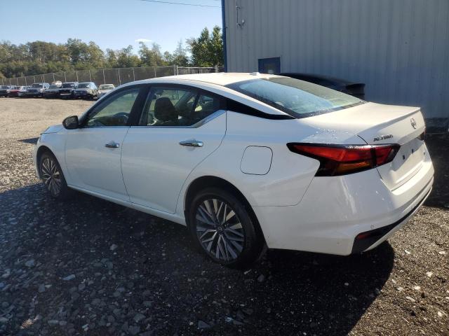 2025 NISSAN ALTIMA SV 1N4BL4DW4SN320293