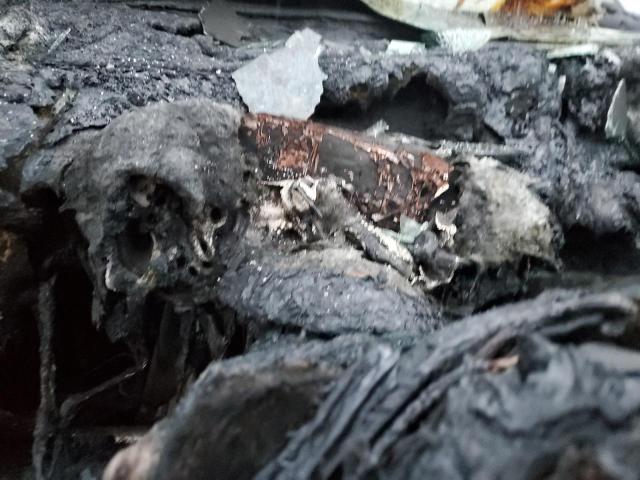 2014 FORD ESCAPE S - 1FMCU0F7XEUA41401