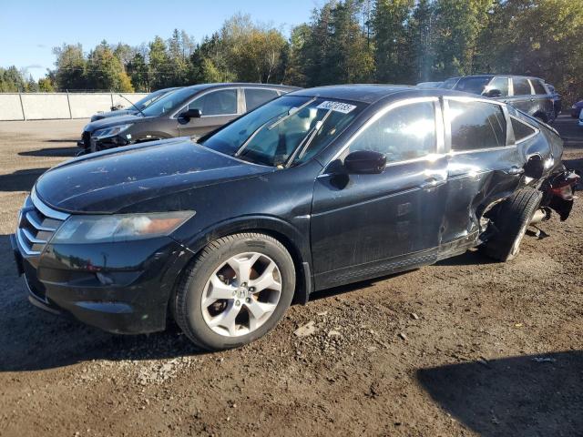 2010 HONDA ACCORD CRO - 5J6TF2H51AL800968