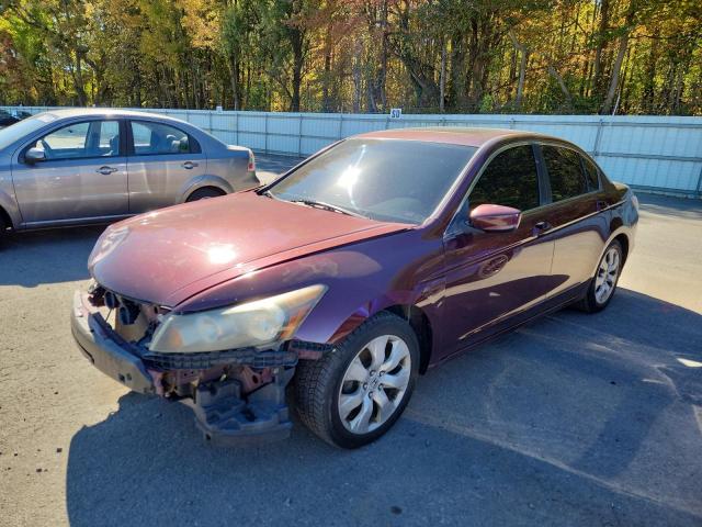 Global Auto Auctions: 2008 HONDA ACCORD EX