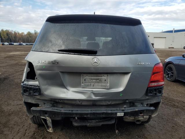 2014 MERCEDES-BENZ GLK 250 BL - WDCGG0EB0EG283187