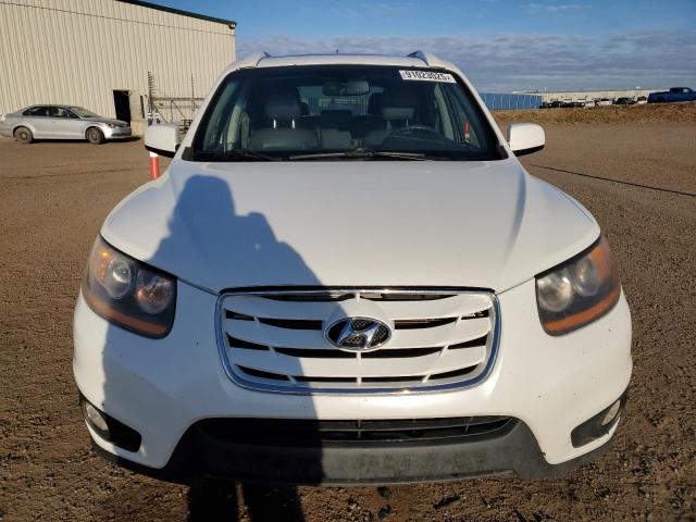 2010 HYUNDAI SANTA FE S - Other View