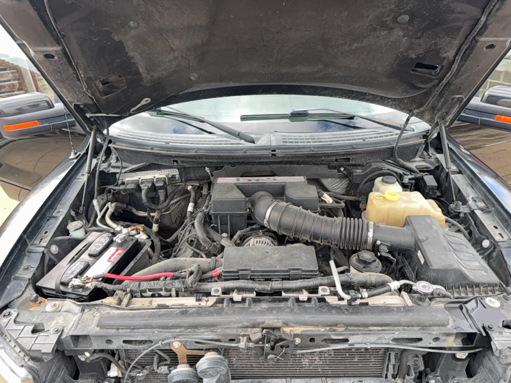 2013 FORD F150 SVT R - 1FTFW1R66DFC88390