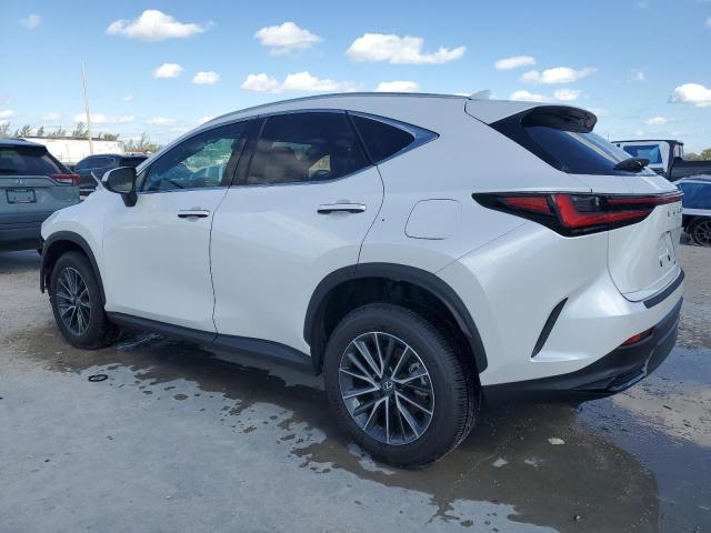 2025 LEXUS NX 250 PRE 2T2GDCAZ7SC026066