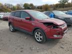 Lot #3293380452 2014 FORD ESCAPE SE