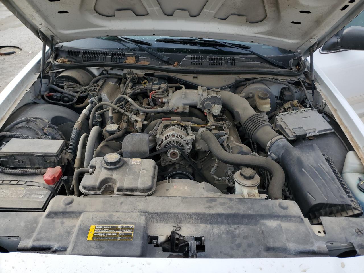 Lot #3291788561 2009 FORD CROWN VICT