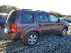 Lot #3293523416 2011 HONDA PILOT EX