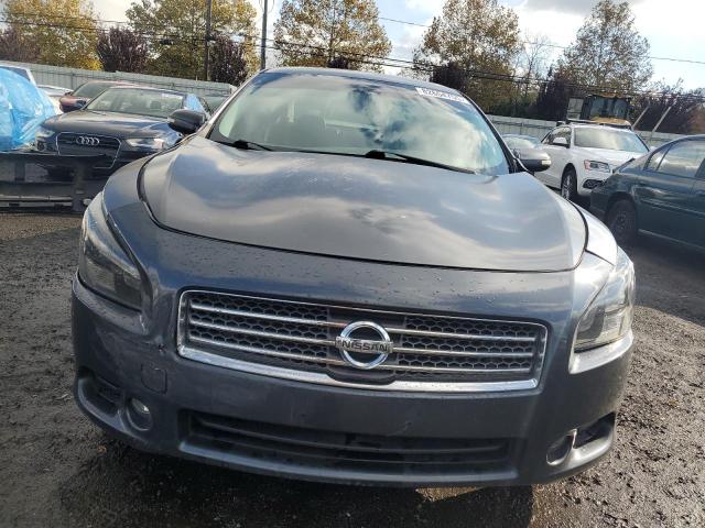 2010 NISSAN MAXIMA S - 1N4AA5AP7AC822763
