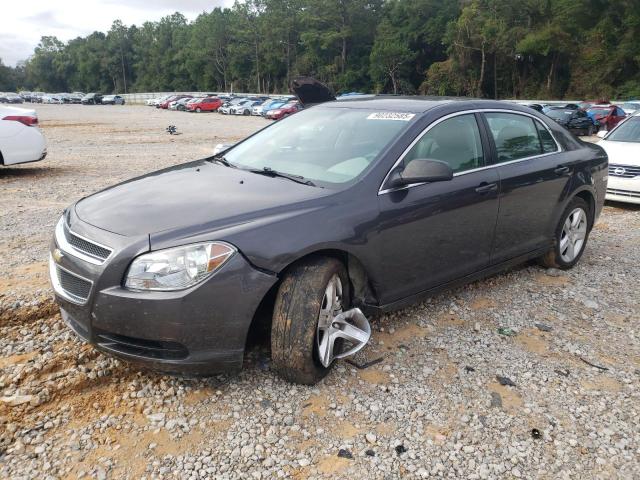 Global Auto Auctions: 2011 CHEVROLET MALIBU LS