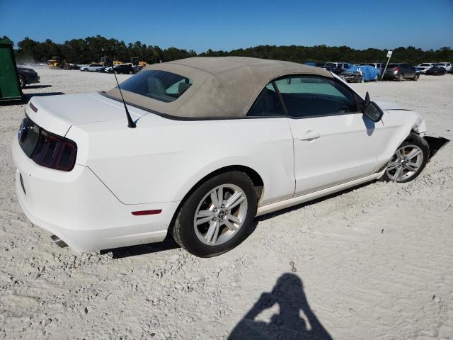 2013 FORD MUSTANG - 1ZVBP8EMXD5205085