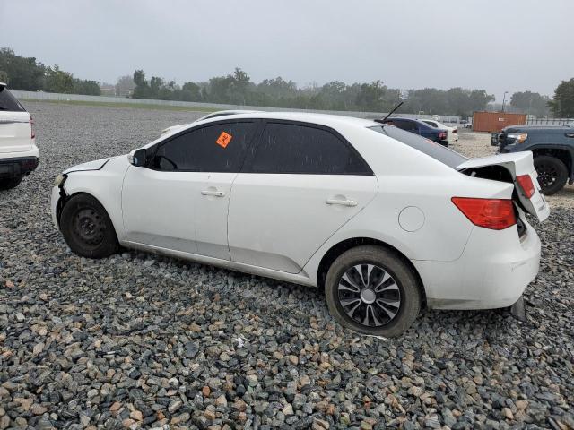 2010 KIA FORTE EX - KNAFU4A26A5303663