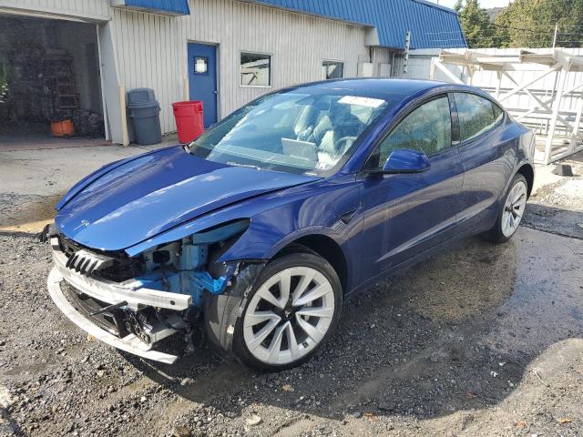 2022 TESLA MODEL 3 #3303924690