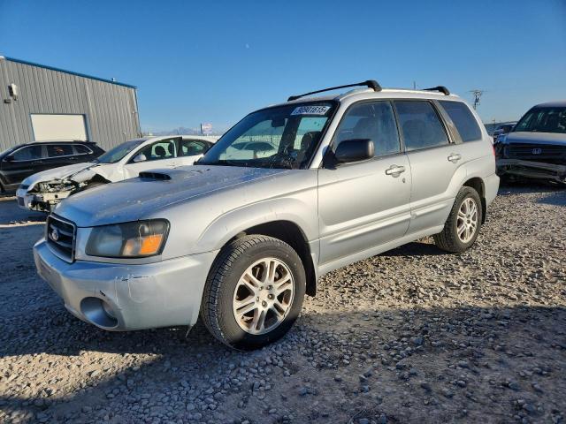 Global Auto Auctions: 2004 SUBARU FORESTER 2