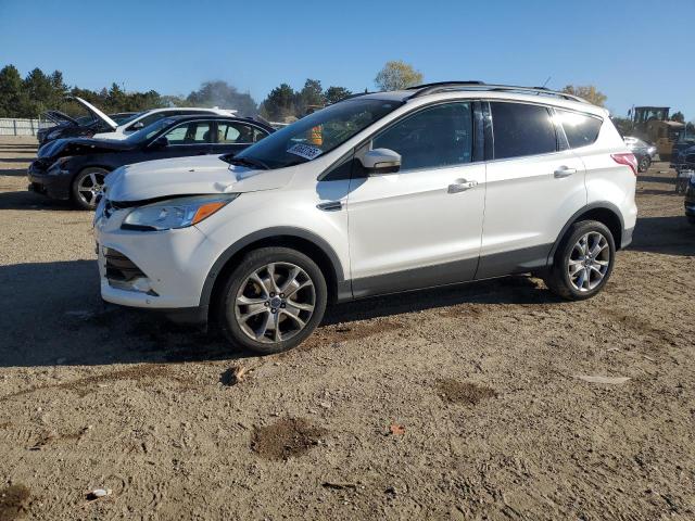 Global Auto Auctions: 2013 FORD ESCAPE SEL