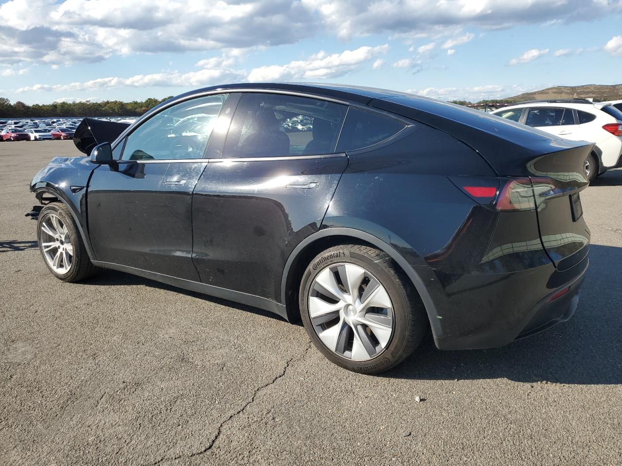 Lot #3315888089 2023 TESLA MODEL Y