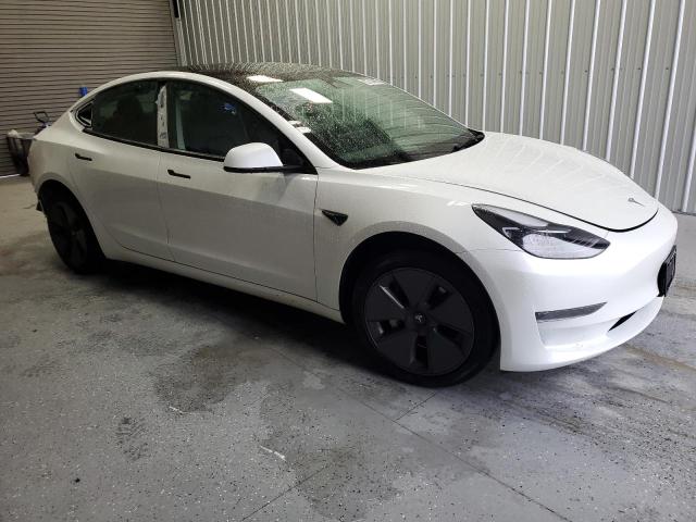 2023 TESLA MODEL 3 #3296250501