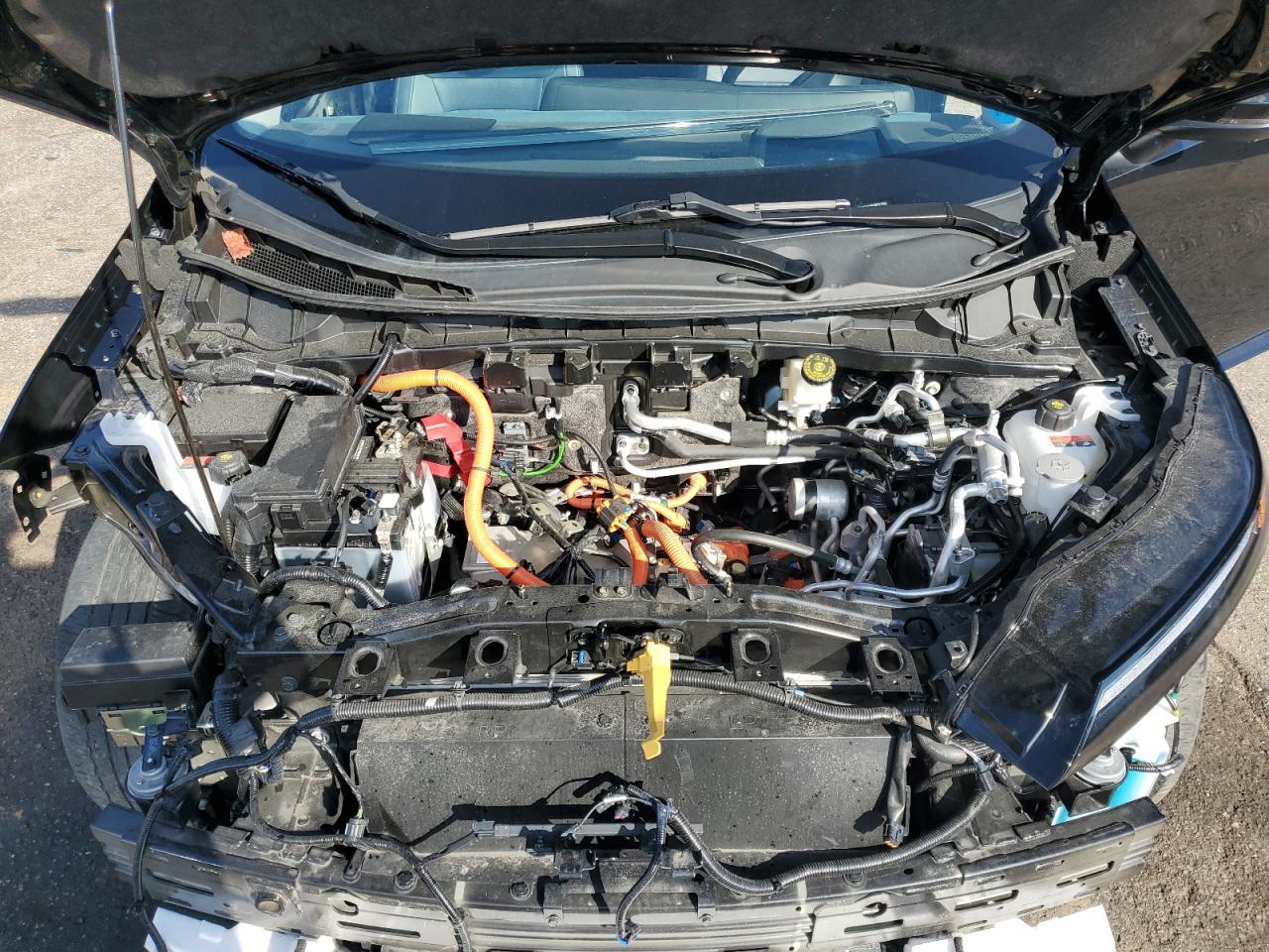 NISSAN ARIYA PLATINUM +