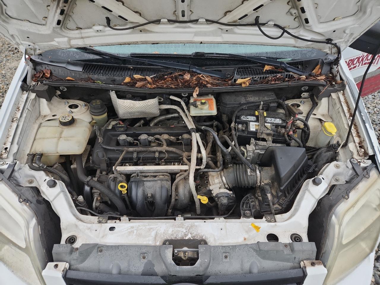 FORD TRANSIT CONNECT XLT